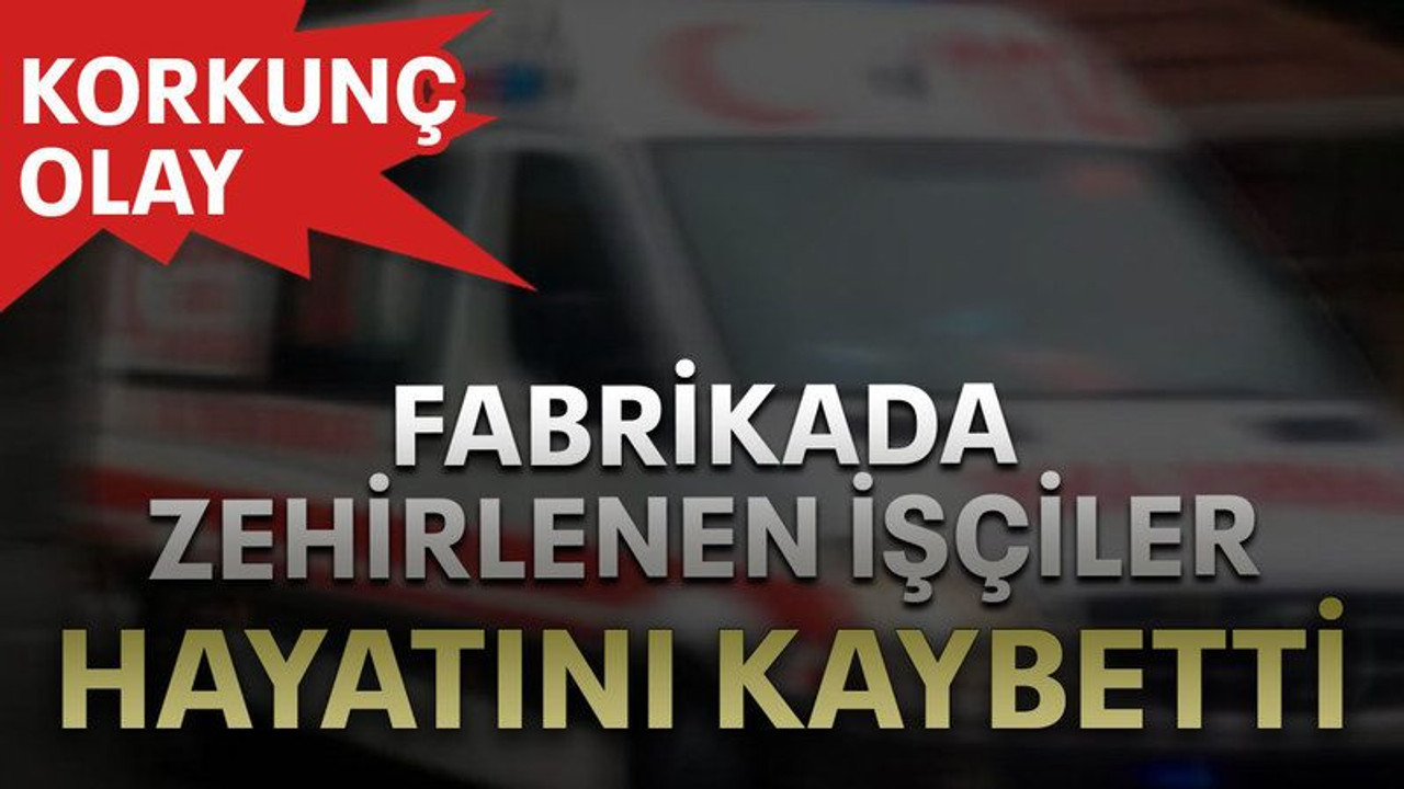 Fabrikada zehirlenen işçiler hayatını kaybetti